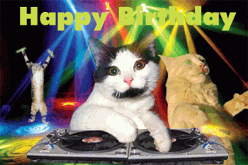 Funny Cat Party Happy Birthday Gif