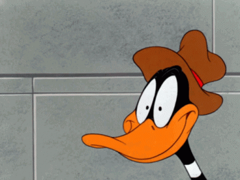 Funny Duffy Duck Looney Toons Animated Gif Moving Image