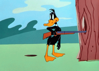 Funny Duffy Duck Looney Toons Animated Gif Sweet