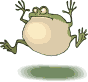 Funny Frog Animation Cartoon