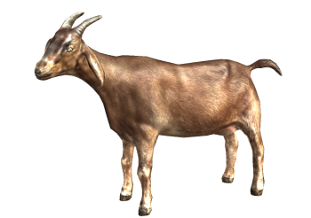 Animated  Goat PNG Image HD Wallpapers For Android