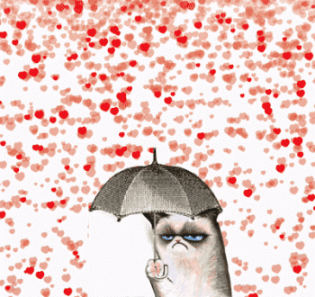 Hating On Love Cat Animated Gif