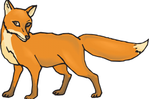 HD Fox PNG Transparent HD Wallpaper Download For Android Mobile Wallpapers HD For I Phone Six Free Download