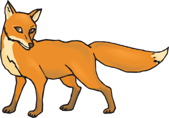 HD Fox PNG Transparent HD Wallpaper Download For Android Mobile Wallpapers HD For I Phone Six Free Download