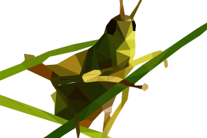 Painting Of Grasshopper PNG image HD Wallpapers Download For Android Mobile