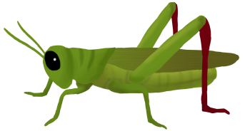 Grasshopper Clipart 3D PNG Image HD Wallpapers Download For Android Mobile