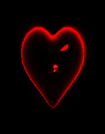 Heart Animation Cool Image Love