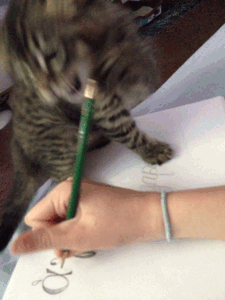 Kitten Iterrupting Writing Cute Animated Gif