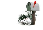 Mailbox Animate Image Hot June