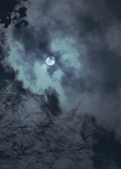 Moon Reflection In Water Sky Clouds Animated Gif Super