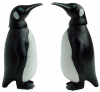 Nice Penguins Animation