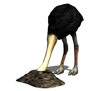 Ostrich Animated Gif Super