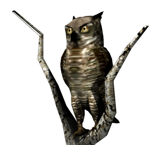 Owl Animated Gif Cool Image