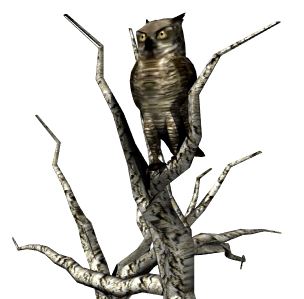 Owl Animated Gif Nice