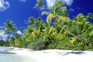 Palm Beach Solomon Islands HD Wallpaper For Free