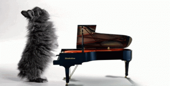 Piano Playing Animated Gif Hot Download