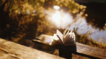Pretty Book Bench Nature Water Outdoors Animated Gif