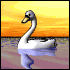 Swan Animation Cool Image