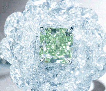 Timeless Tiffany Diamond Ring Animated Gif