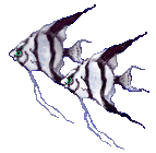 Tiny Small Pixel Fish Aquarium Animated Gif Picture Nice Download HD Image