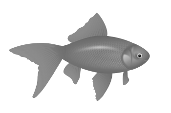 Transparent Fish PNG Image