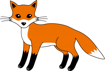 Fox PNG Image HD Wallpapers Download For Android Mobile