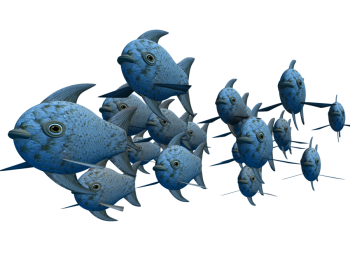 Transparent School Of Fish Animated PNG Image HD Wallpapers For Android