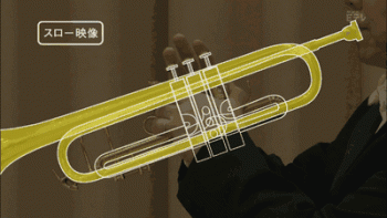 Trumpet Animated Gif Pure