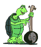 Turtle Musician Banjo