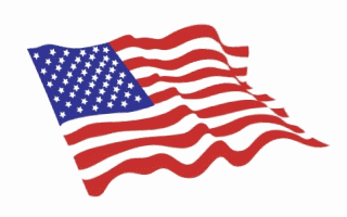 USA American Flag Waving Animated Gif Hot Cute