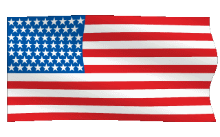 USA American Flag Waving Animated Gif Hot Download