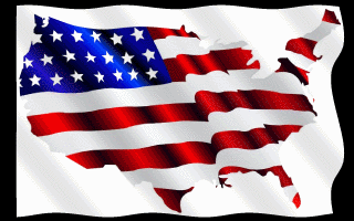 USA American Flag Waving Animated Gif Hot Sweet