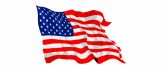 USA American Flag Waving Animated Gif Nice Nice