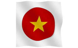 Vietnamese Flag Waving Gif Animation Hot Download