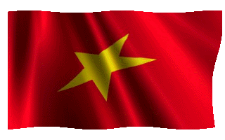 Vietnamese Flag Waving Gif Animation Pretty