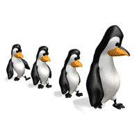 Walking Penguin Animation