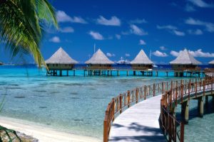 Walkway To Paradise Beach HD Wallpaper For Free