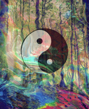 Ying Yang Nature Forest Animated Gif Cool Image