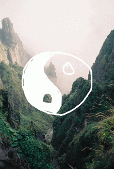 Ying Yang Nature Forest Animated Gif Hot