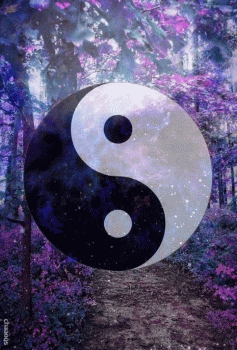 Ying Yang Nature Forest Animated Gif Nice
