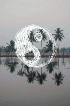Ying Yang Nature Forest Animated Gif Super