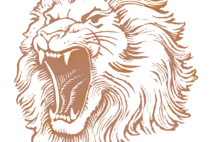 HD Wallpaper Lion Head Image