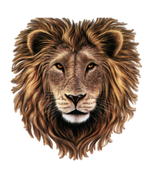 Lion Head Clip Art Transparent PNG Wallpaper