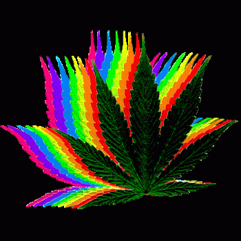 Animated Hemp Marijuana Gif Cool