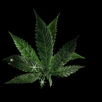 Animated Hemp Marijuana Gif Cool Hot
