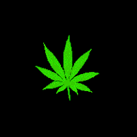 Animated Hemp Marijuana Gif Hot Cool