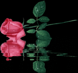 Animated Rose Gif Cool Gif Image Idea