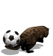 Animated Soccer Mascot