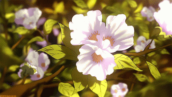 Beautiful Flower Animated Gif Cool Epic