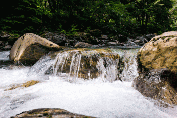 Beautiful Water Flowing Brook Over Stone Animated Gif